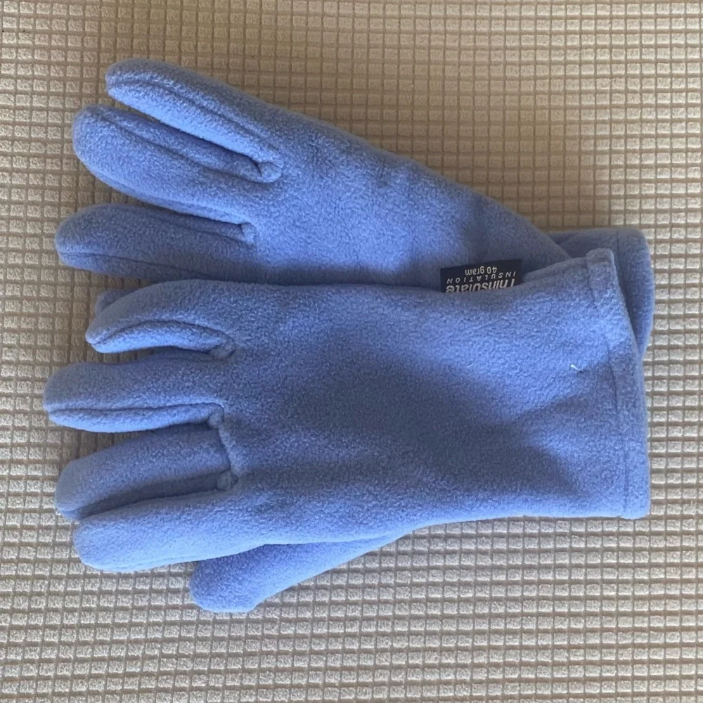 3M Thinsulate Periwinkle Fleece Gloves